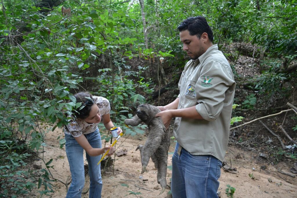 Ecovolunteer in Bolivia