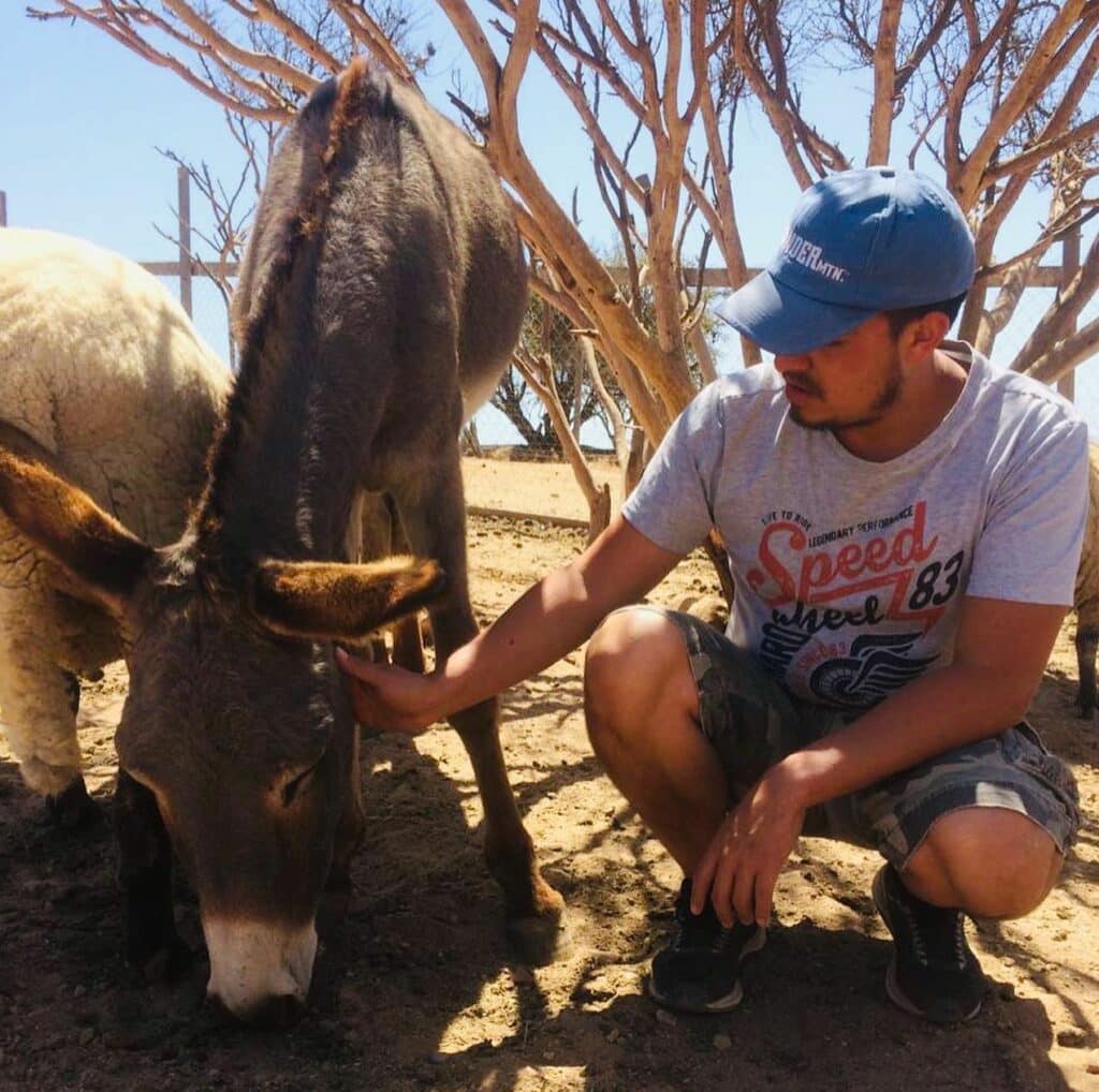 Ecovolunteer farm sanctuary Chile