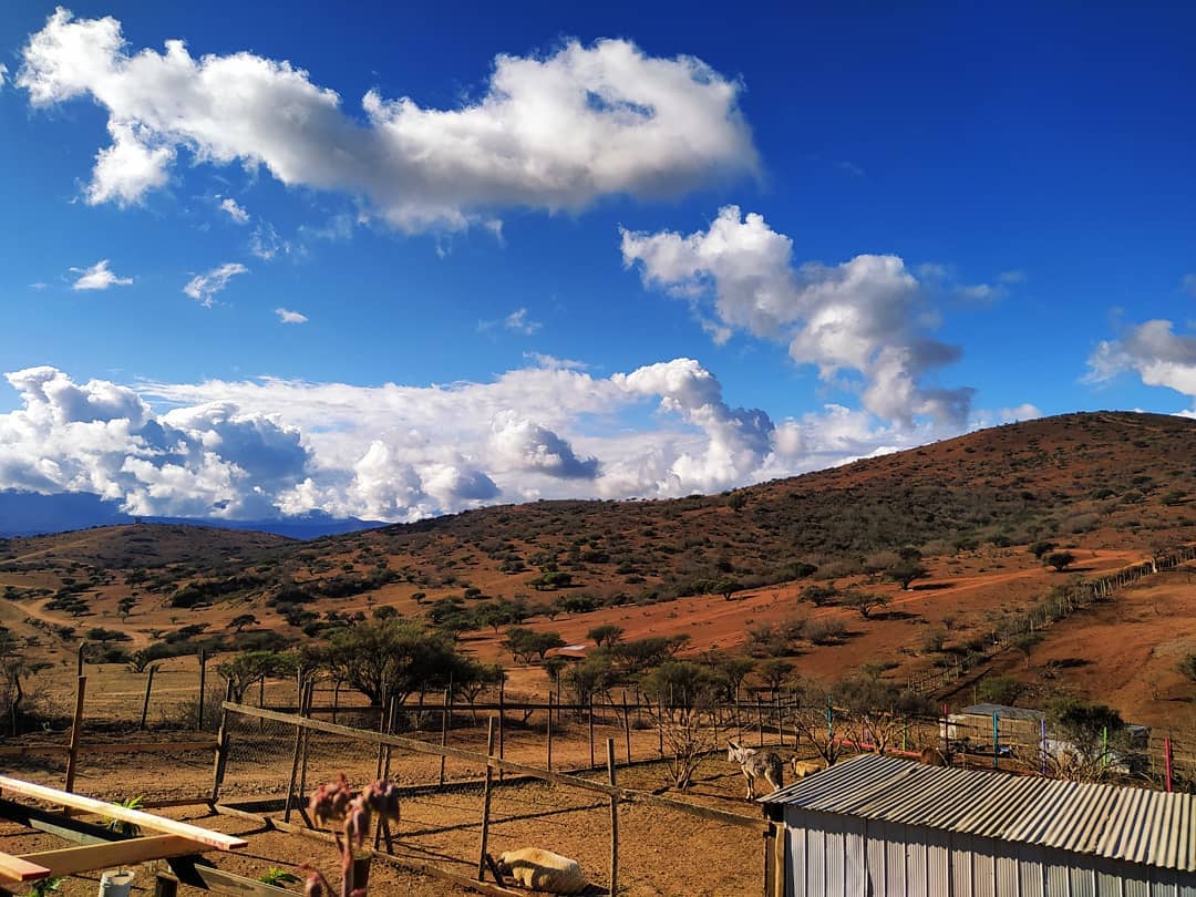 Sanctuary farm in Chile