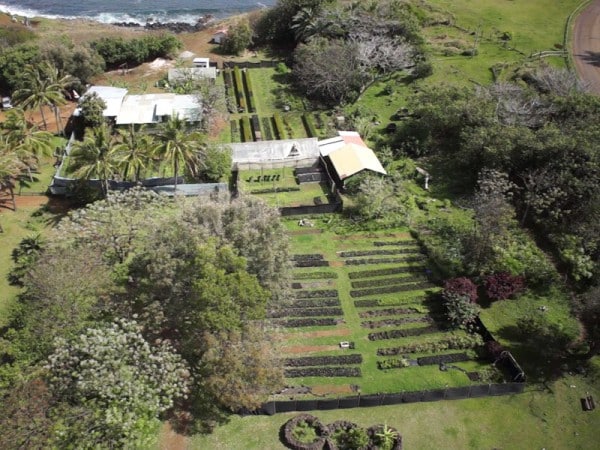 Easter Island cultures