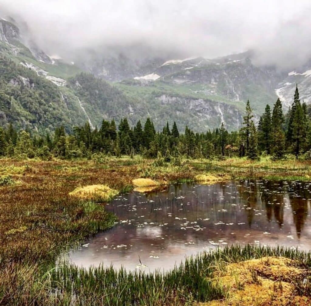 Patagonia Nature Reserve