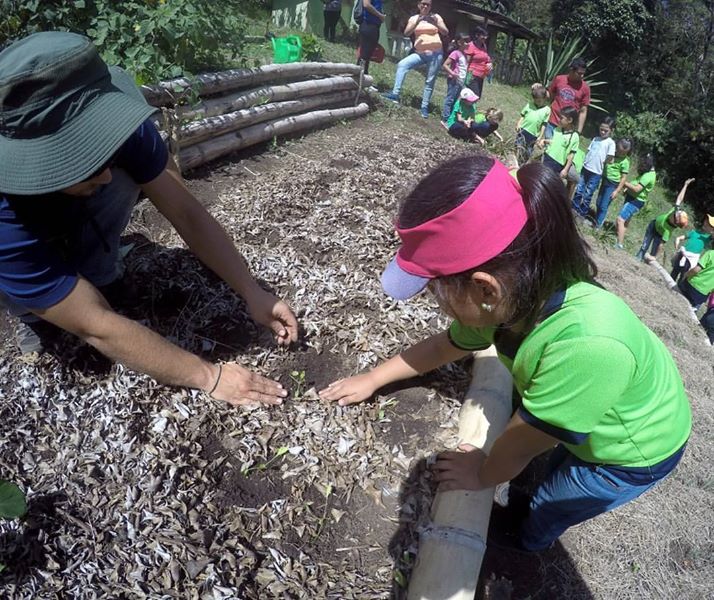 Ferme costa rica