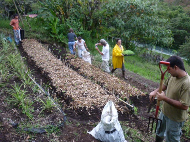 voyage participatif ferme costa rica