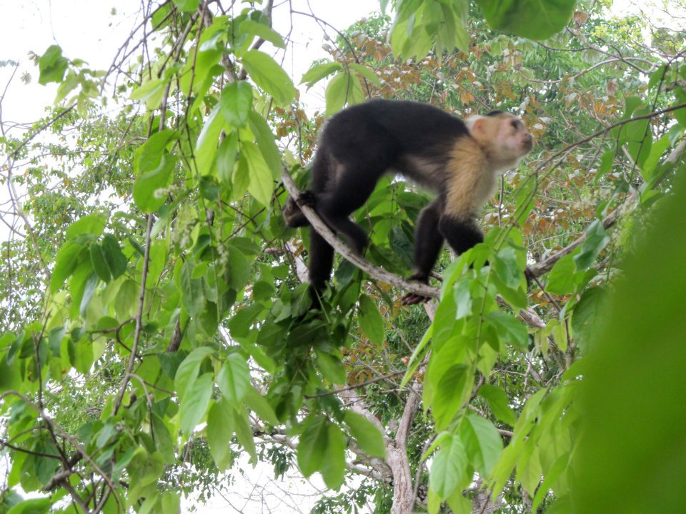 costa rica national park