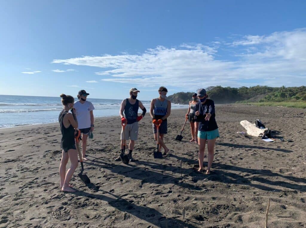 eco tourism turtles costa rica