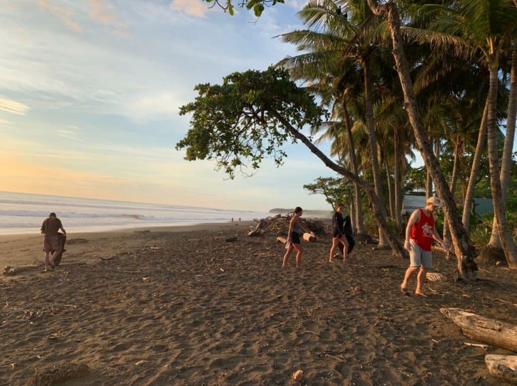 Sea turtles costa rica