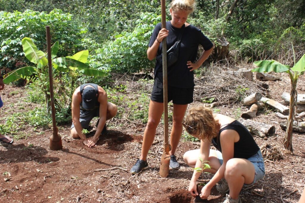 Permaculture Equateur