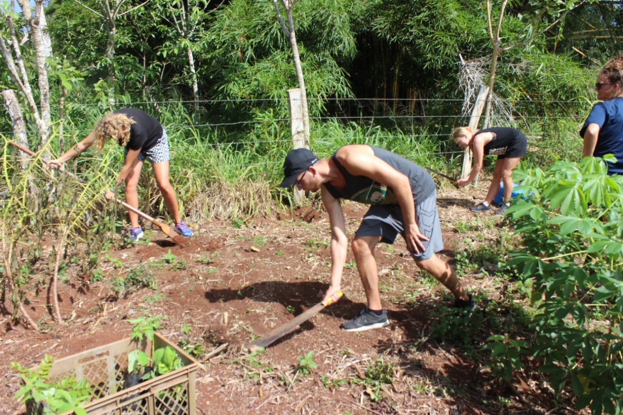 Volunteer ferm ebio Ecuador