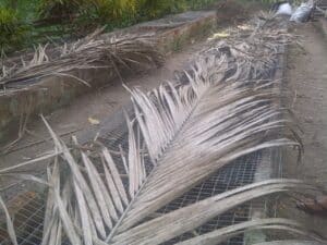 volontariat ferme bio Equateur