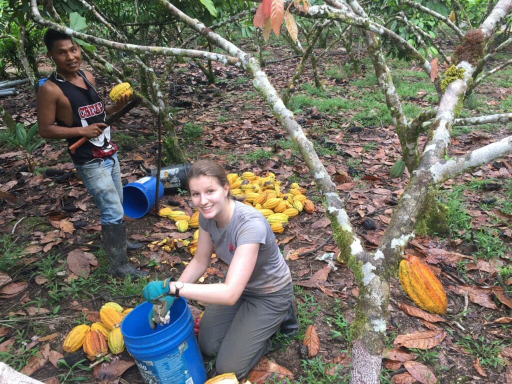 volunteer work amazon refuge