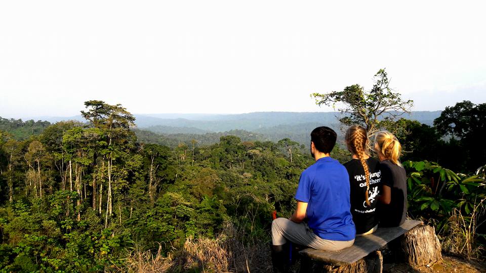 Amazon sanctuary volunteer