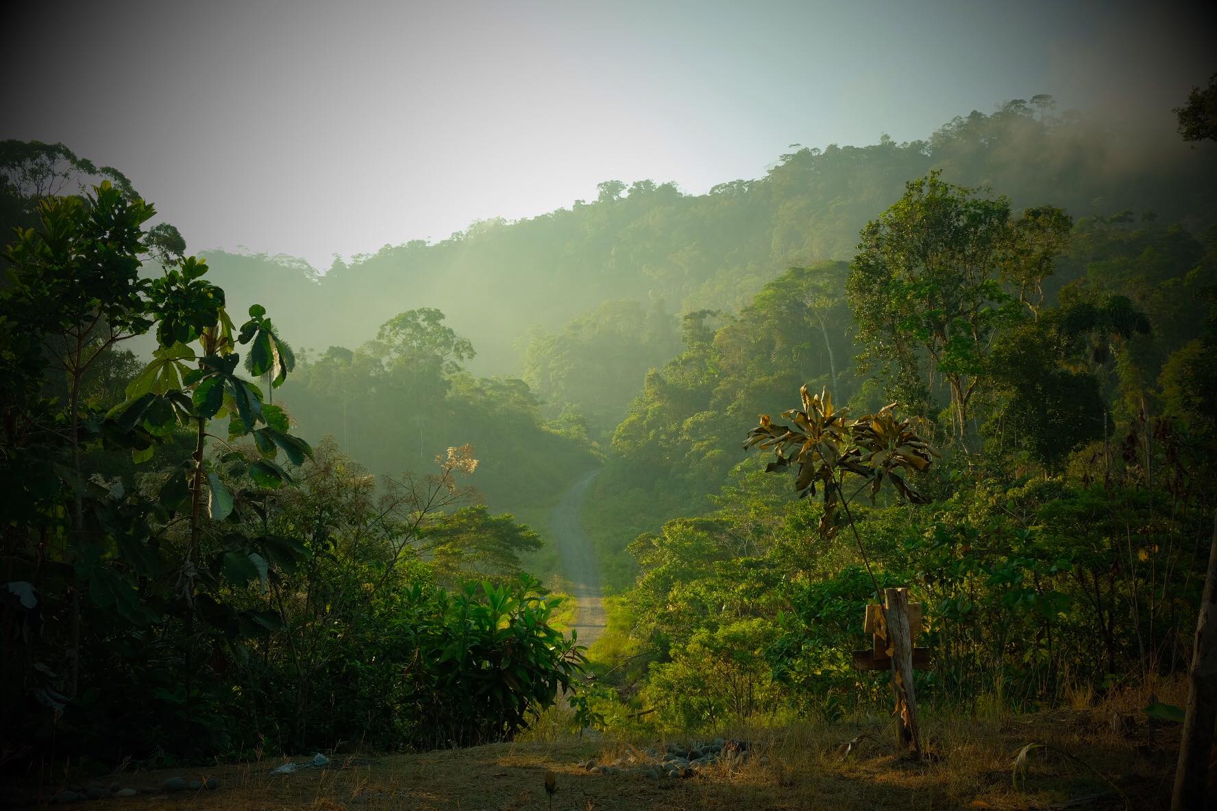 Volontaire en Amazonie