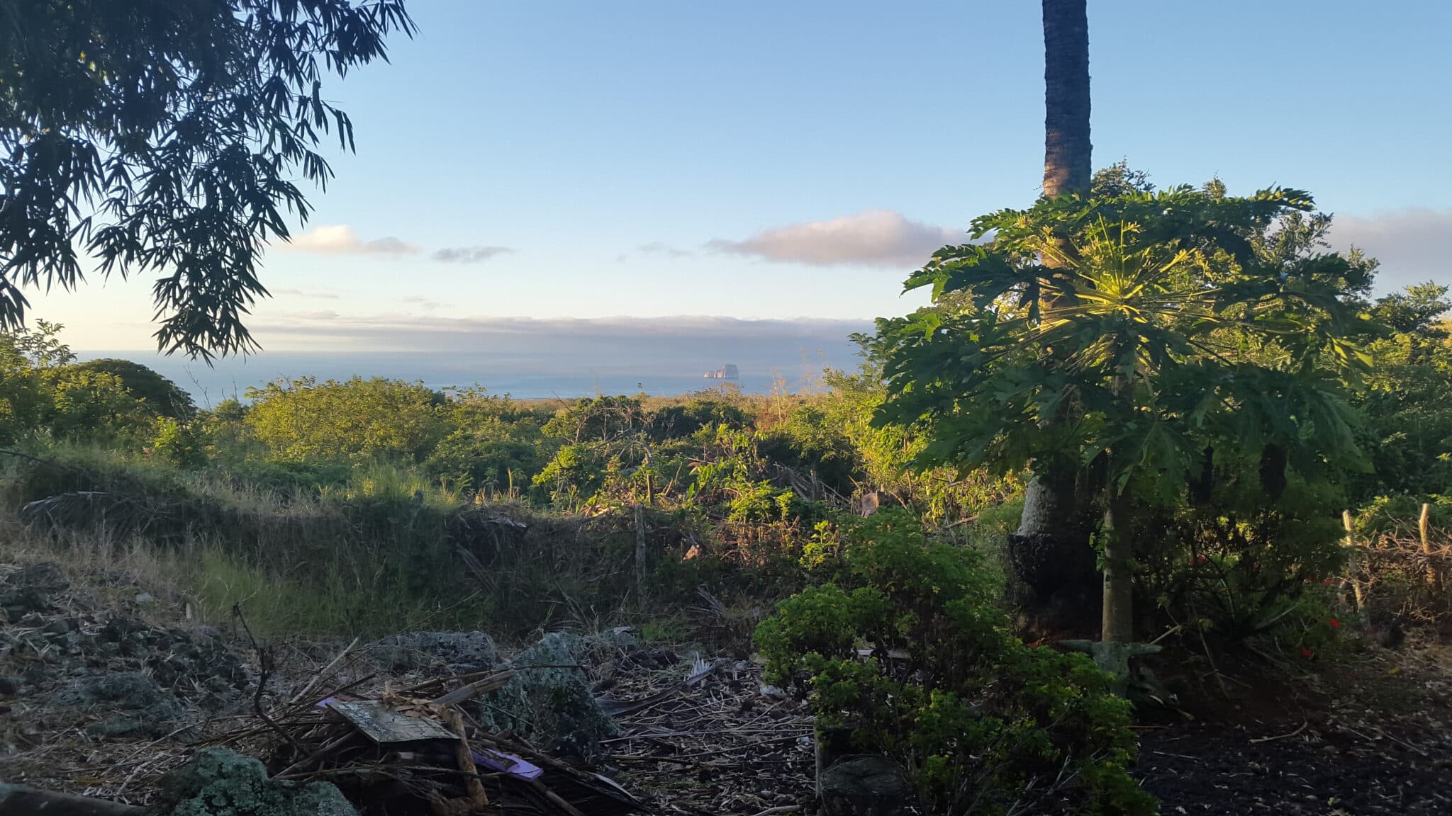 Galapagos landscape