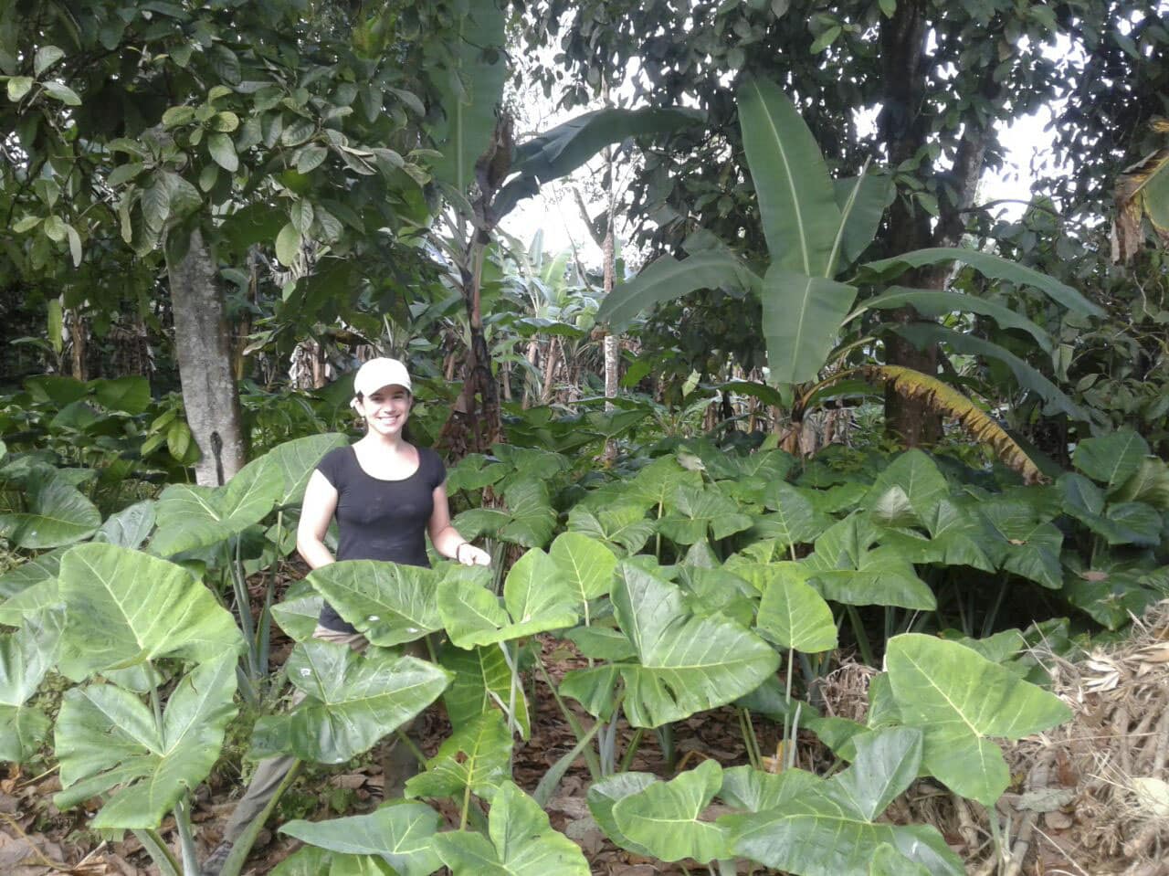 Volontaire hacienda Galapagos