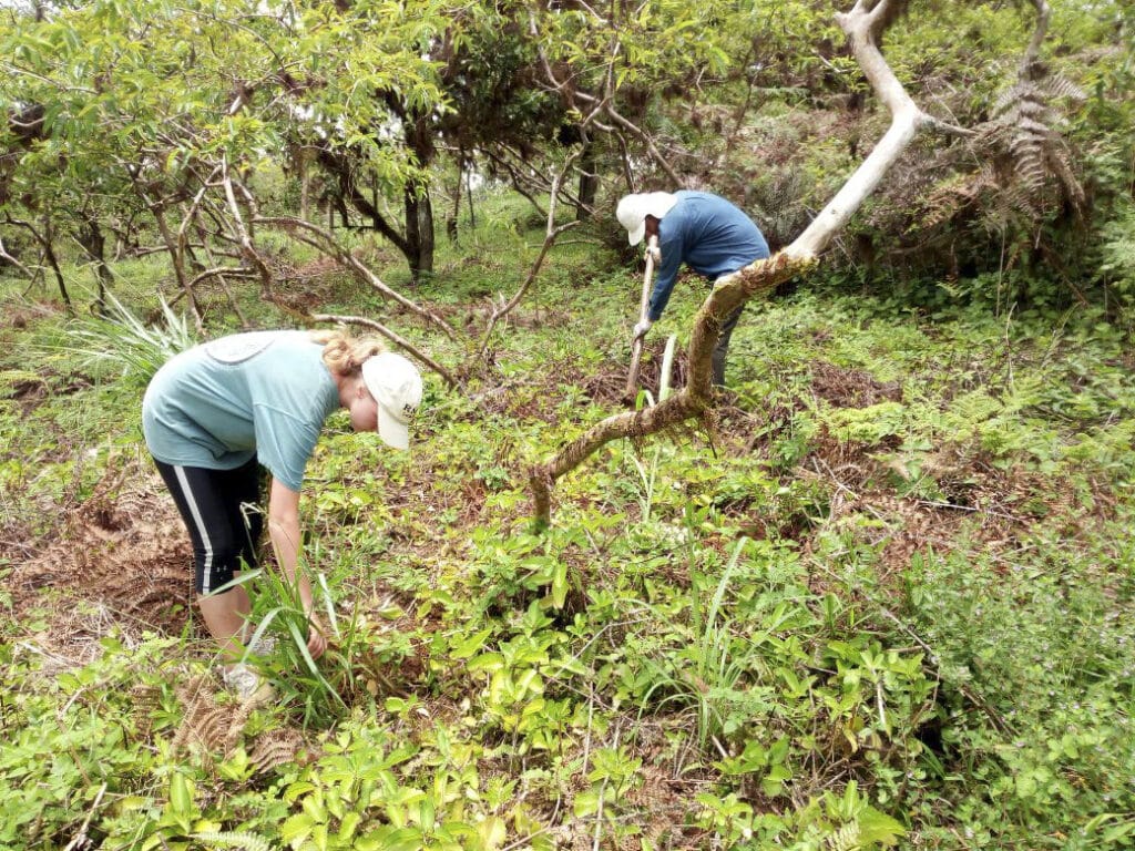 Bénévoles Galapagos