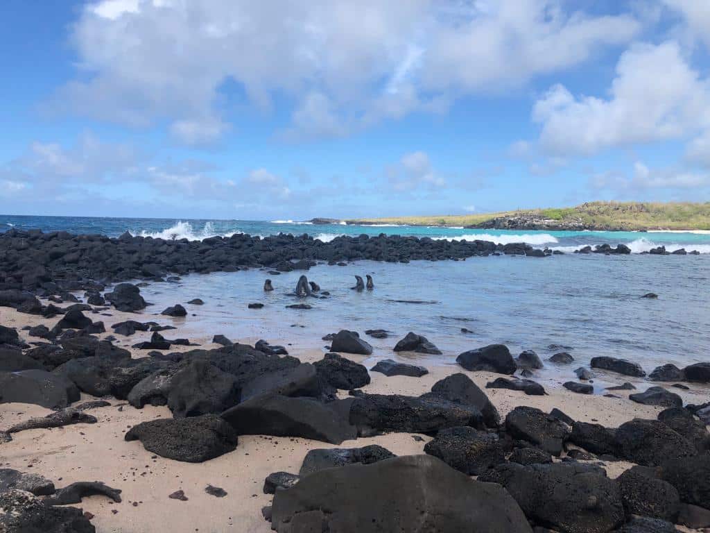 Galapagos Ecovolunteer