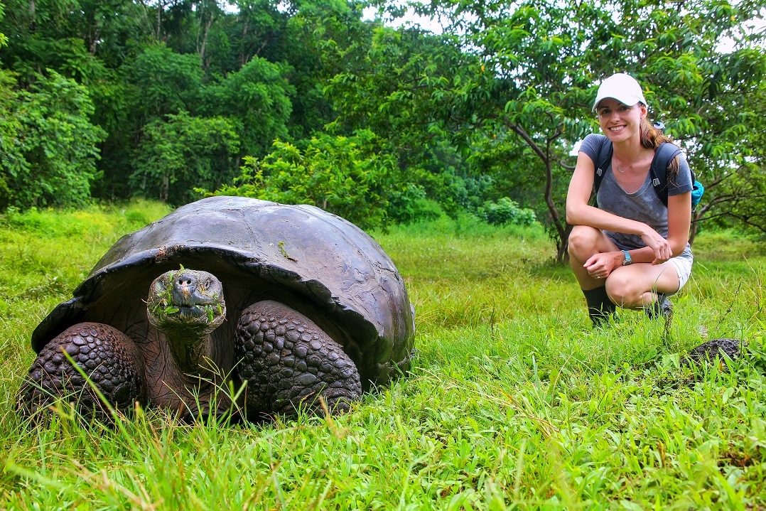 Volontaire tortue Galapagos