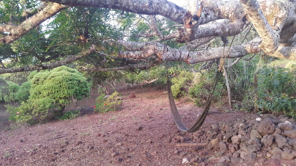 Biodiversité galapagos