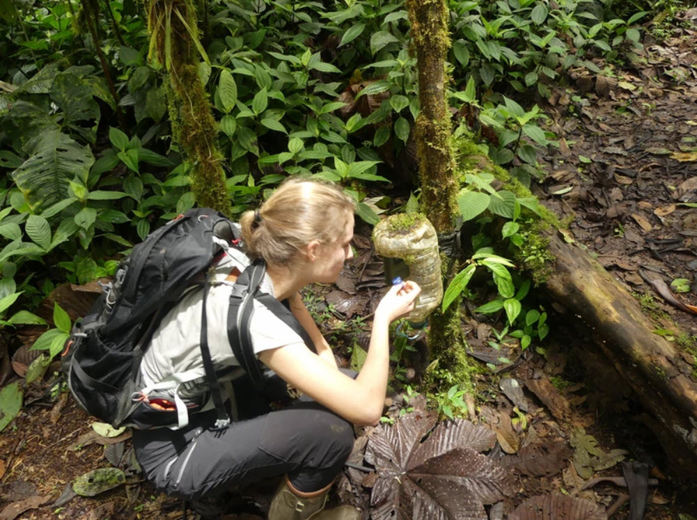 Biodiversity volunteer in Ecuador