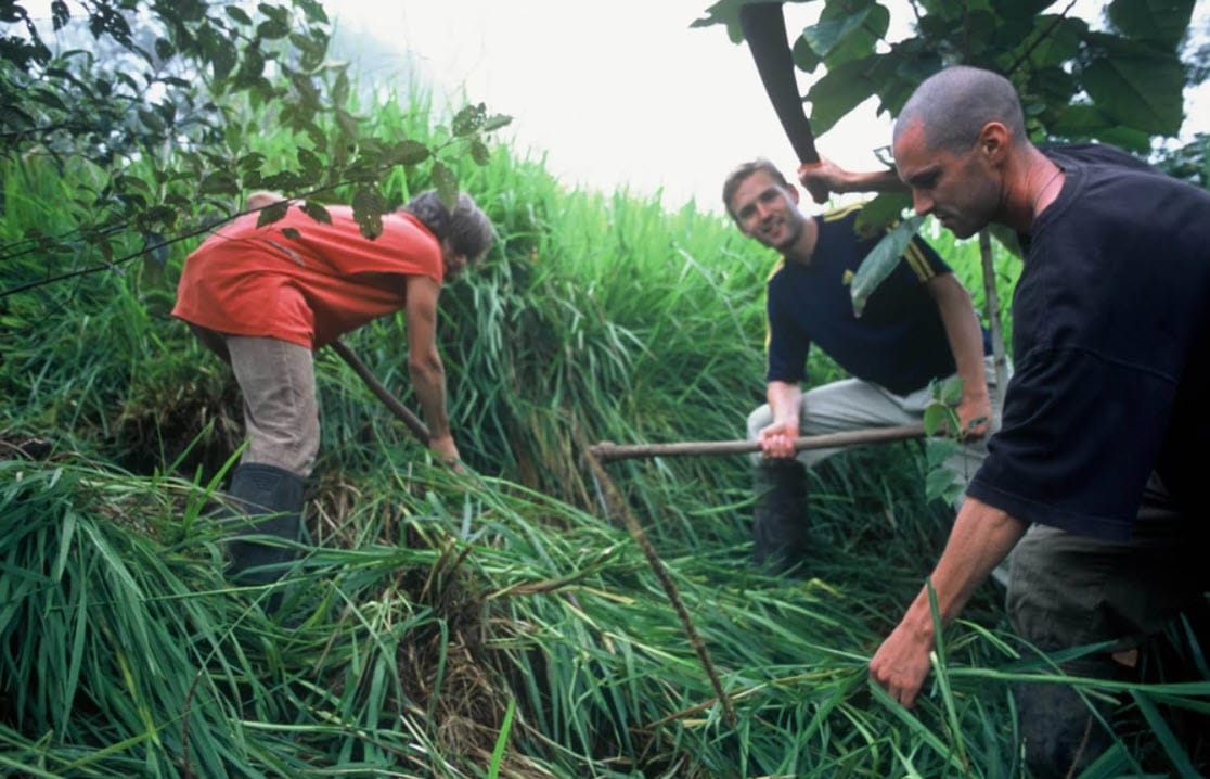 ecovolunteering ecotourism ecuador