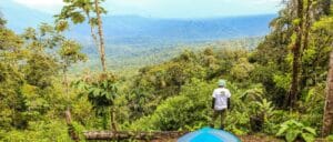 Volontariat Animaux Equateur