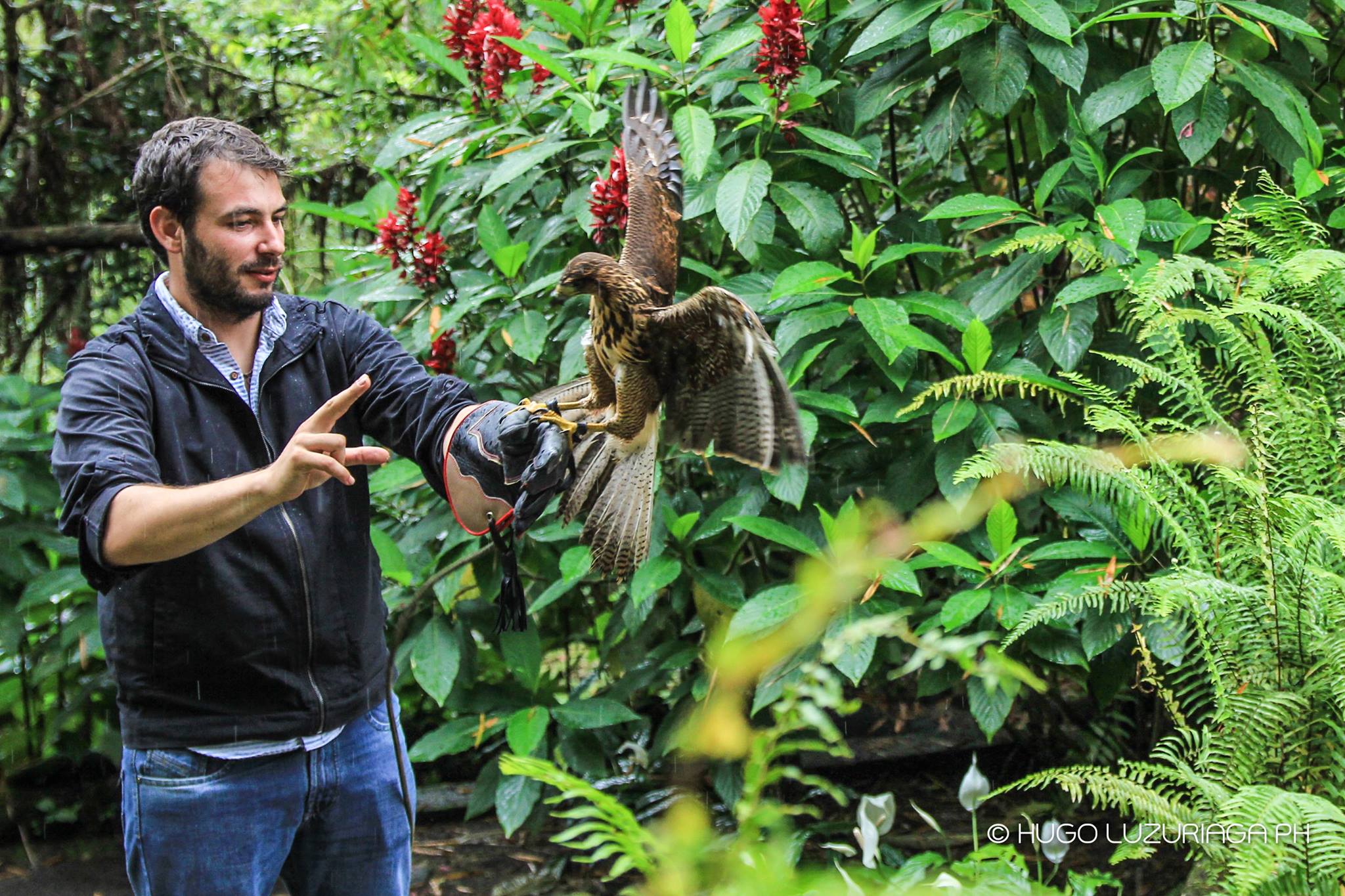 Volunteer animals Ecuador