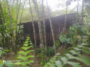 Maison des ecovolontaires