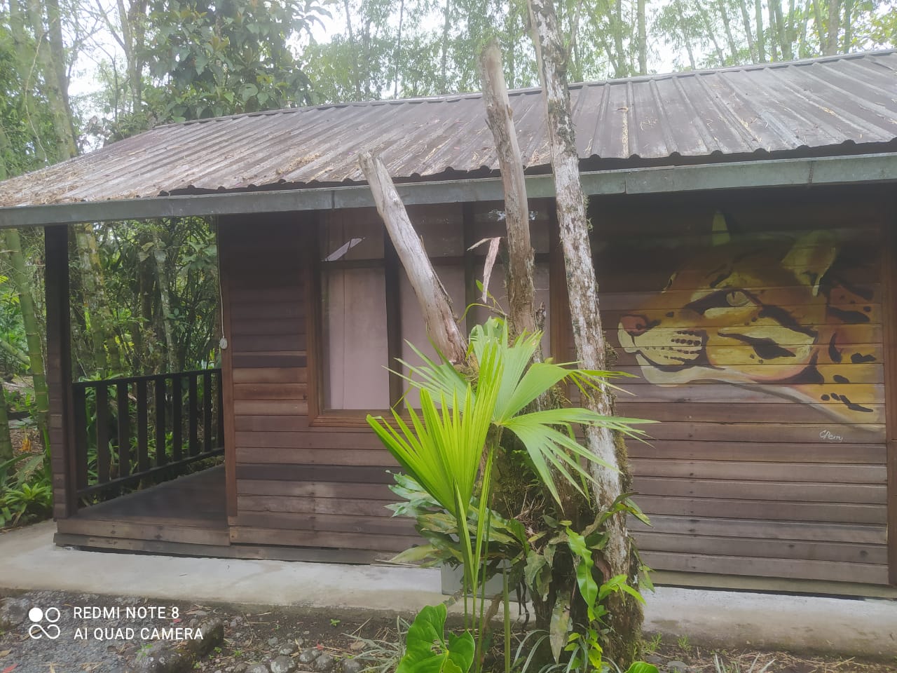 Ecuador Volunteer House