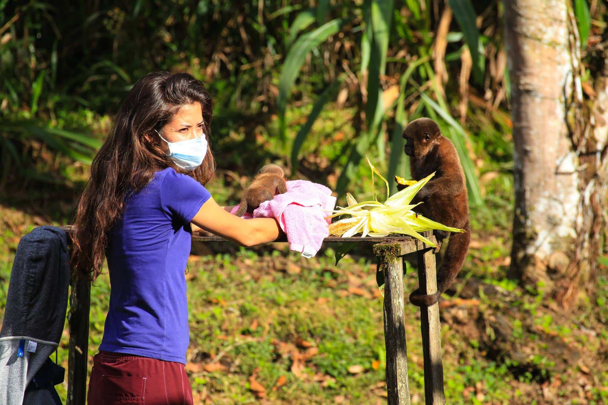 Bénévolat Amazonie Equateur