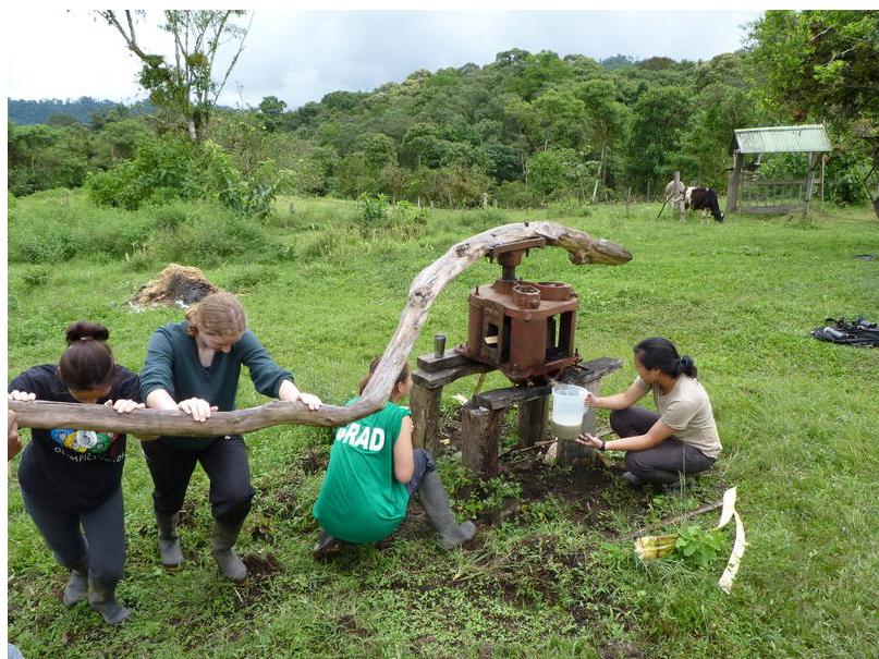 Volunteering cloudy forest Ecuador