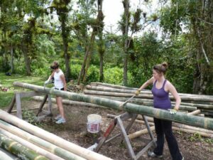 Volontariat biodiversité equateur