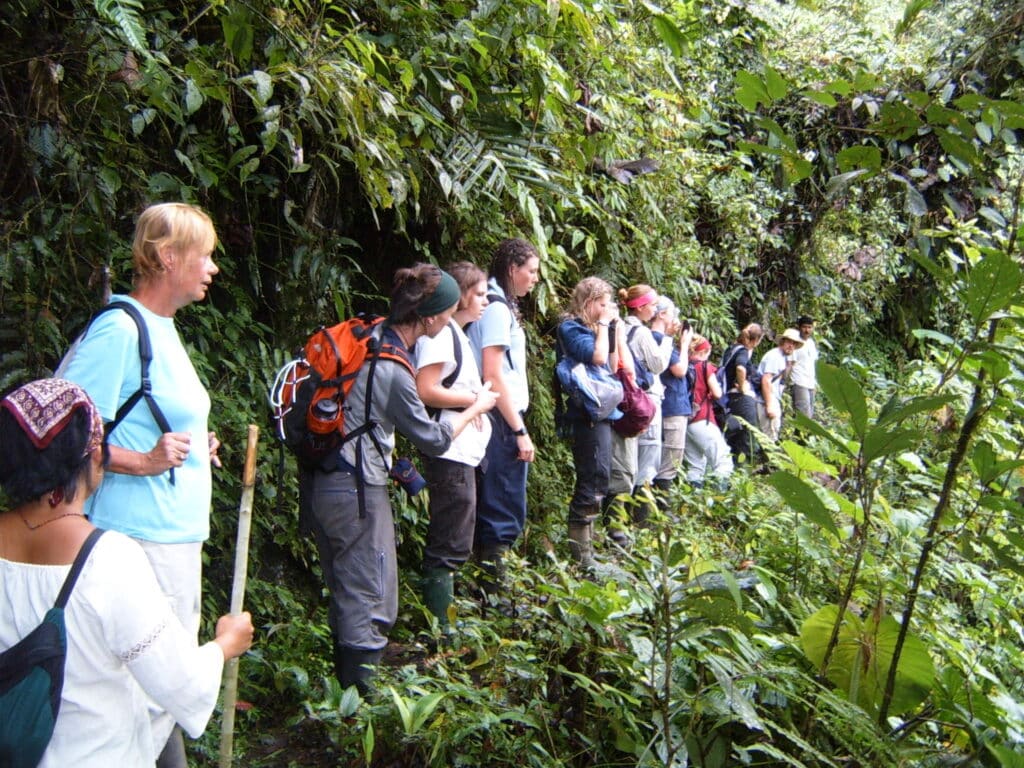 Cloudy Forest ecovolunteer group