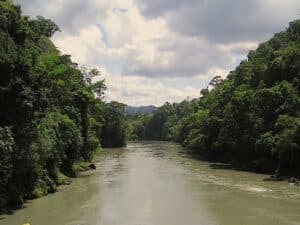 cours d'eau en Amazonie
