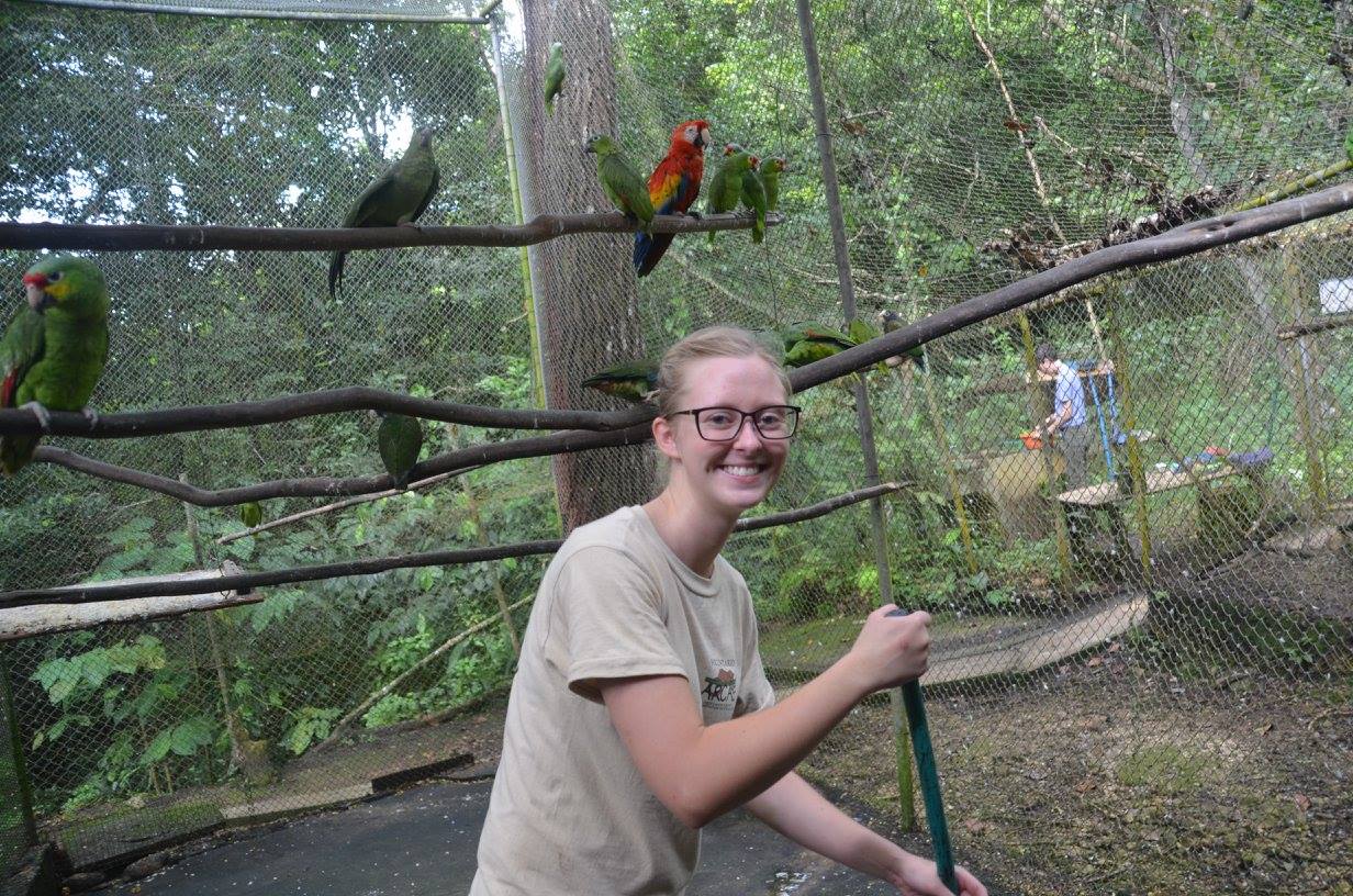 bénévole refuge guatemala