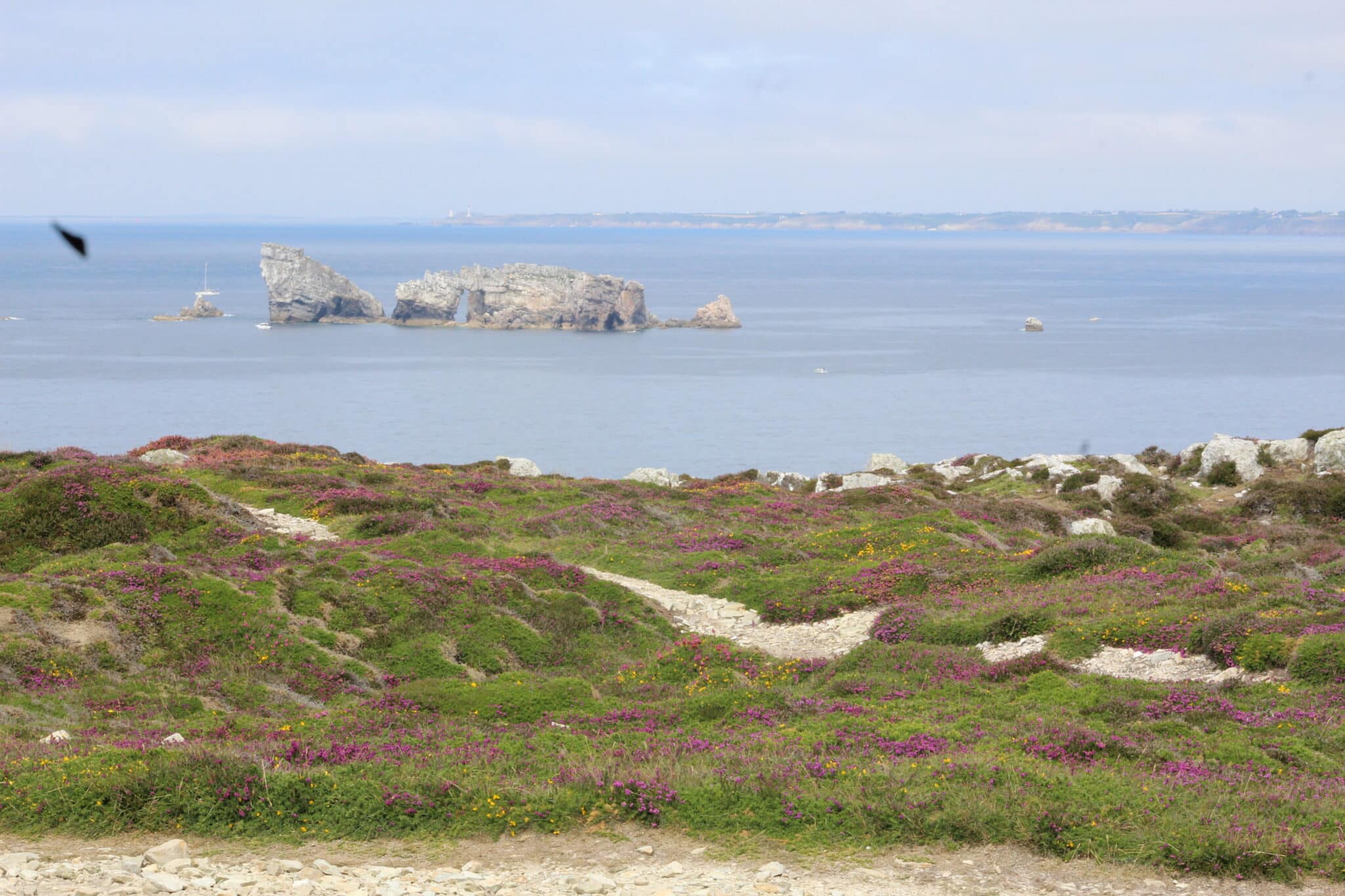 French coast landscape