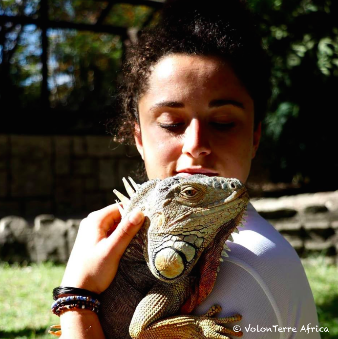 reptile ecovolunteer