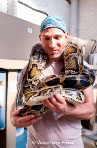Volontaire pour les reptiles