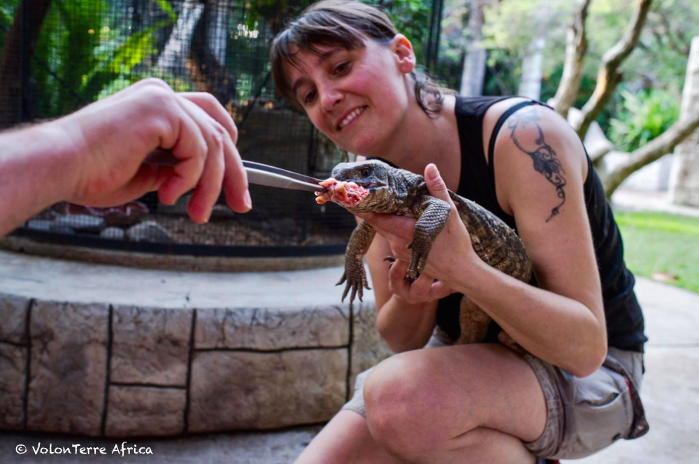 Centre des reptiles Afrique du Sud