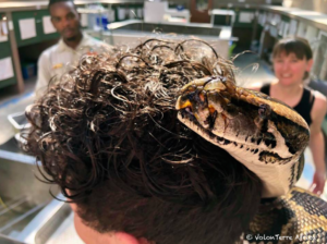 Centre des reptiles