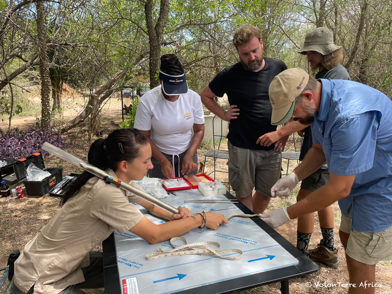 Ecovolunteers for snakes