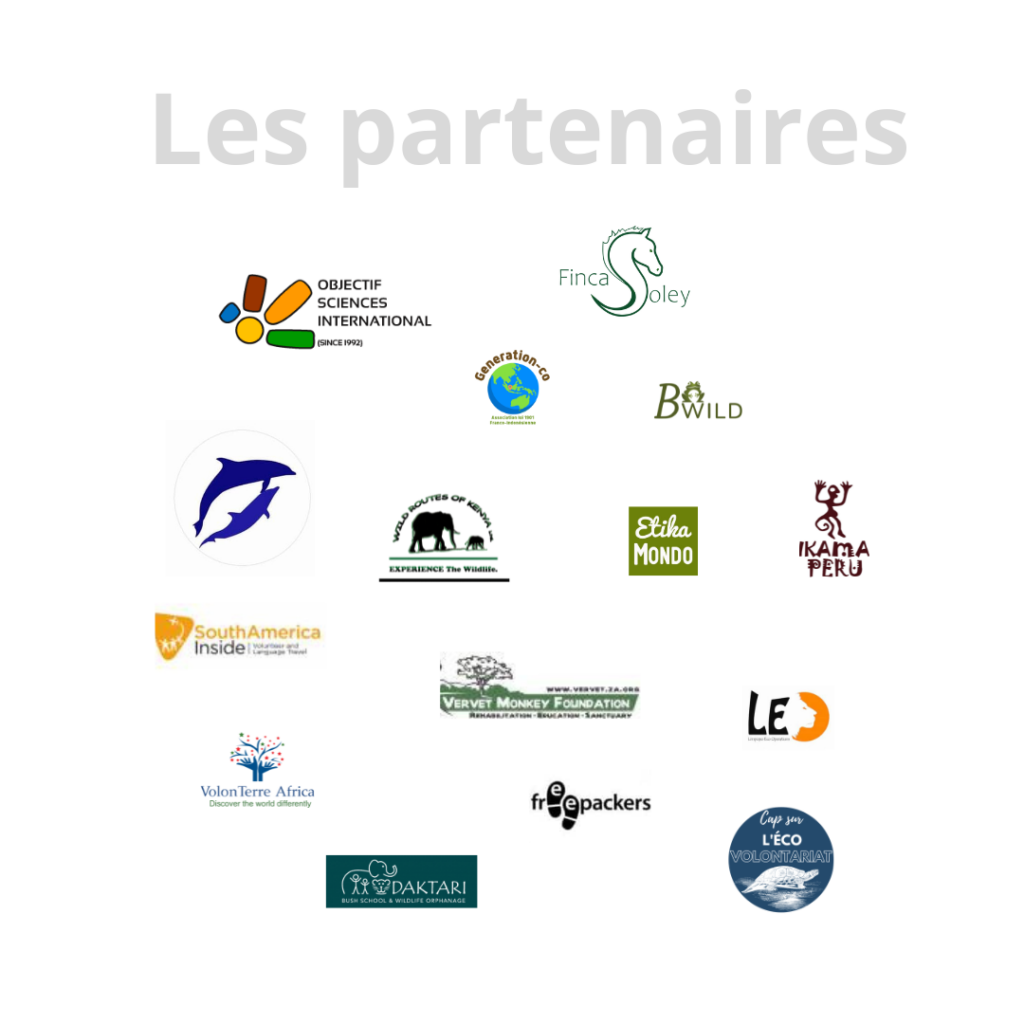 partner associations