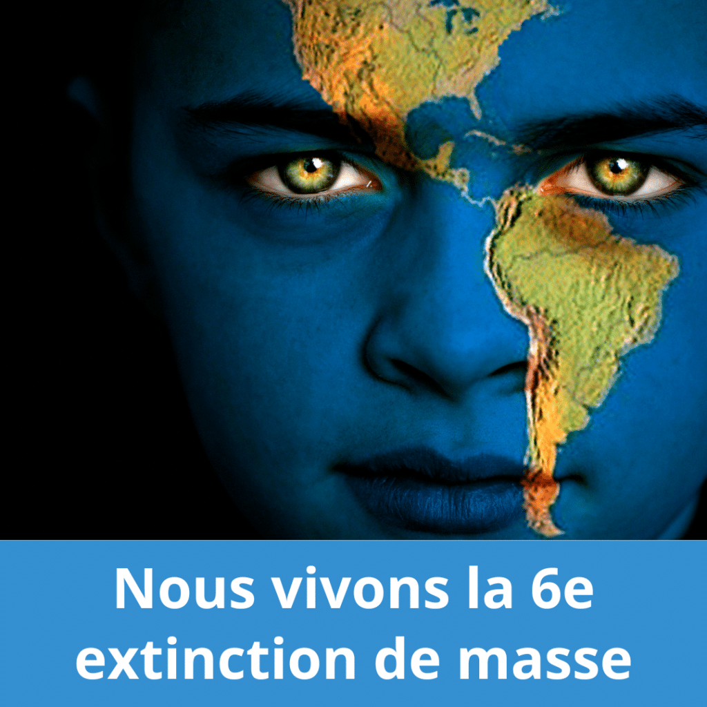 6th mass extinction