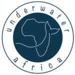 logo under africa