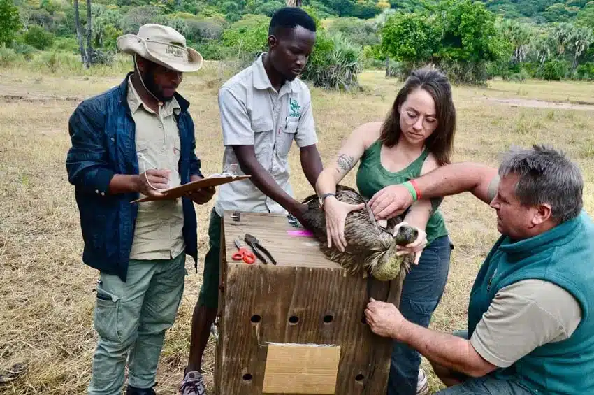 Malawi volunteers