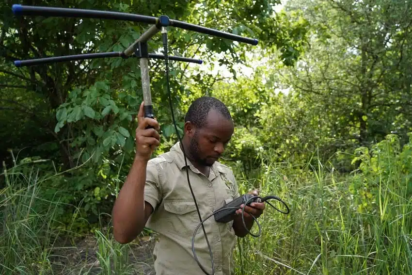 ecotourism Malawi