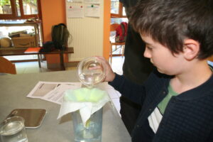 Voyage scientifique en famille