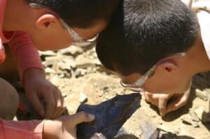 Vacances scientifiques familles