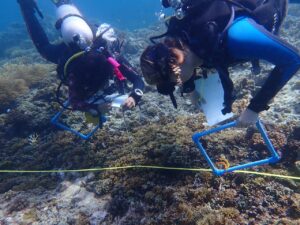 Conservation biologie marine