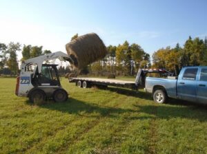 Expérience dans une ferme équestre au Canada