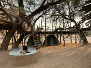 Profitez des belles nuits étoilées de Namibie